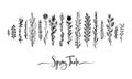 Spring time wording with hand drawn flowers, Set of black doodle elements, grass, leaves, flowers. Vector illustration Royalty Free Stock Photo