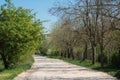 Long winding rural road