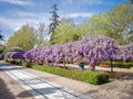 Spring in Toledo, Spain Royalty Free Stock Photo