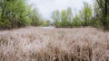 Spring in Toogood Pond Park Royalty Free Stock Photo