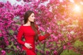 Spring touch. Happy beautiful young woman in red dress enjoy fresh pink flowers and sun light in blossom park at sunset.