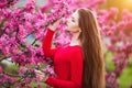 Spring touch. Happy beautiful young woman in red dress enjoy fresh pink flowers and sun light in blossom park at sunset. Royalty Free Stock Photo