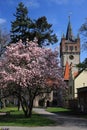 Spring in town