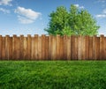 Spring tree in backyard and wooden fence Royalty Free Stock Photo