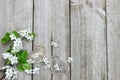 Spring tree blossoms and wood hearts border wooden fence Royalty Free Stock Photo