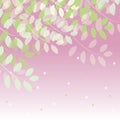 Spring tree branches vector background Royalty Free Stock Photo