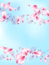 Spring tree flowers parts, airy flying petals Royalty Free Stock Photo