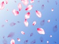 Spring tree flowers parts, airy flying petals Royalty Free Stock Photo
