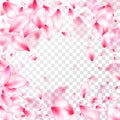 Spring tree flowers parts, airy flying petals Royalty Free Stock Photo