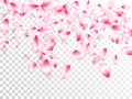 Spring tree flowers parts, airy flying petals on transparent background. Pink sakura blossom falling parts romantic vector. Royalty Free Stock Photo