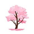 Spring tree vector nature illustration, blossom Japanese sakura, wooden trunk, pink crown.