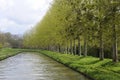 Spring trees on the bank of the Nivernais Canal, Burgundy