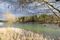 Spring trees are reflected in the lake against the blue sky. Blossoming pussy willow Easter twigs. Royalty Free Stock Photo