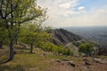 Spring Trees on the top of the Mountain Royalty Free Stock Photo