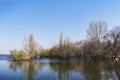 Spring trees a warm day on the lake and blue sky