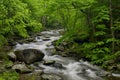 Spring in Tremont at Great Smoky Mountains National Park, TN USA Royalty Free Stock Photo