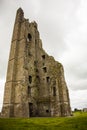 Spring in Trim Castle Caislean Bhaile Atha Troim, Ireland Royalty Free Stock Photo