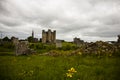 Spring in Trim Castle Caislean Bhaile Atha Troim, Ireland Royalty Free Stock Photo