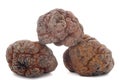 Spring truffle Royalty Free Stock Photo