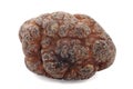 Spring truffle Royalty Free Stock Photo