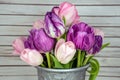 Spring tulip bunch in pail