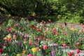 Spring Tulip Display At The Keukenhof Gardens Royalty Free Stock Photo
