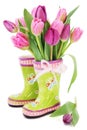 Jar tulipán kvety v topánky 