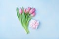 Spring tulip flowers and gift box on blue pastel table top view. Greeting card for Birthday, Womans or Mothers Day. Flat lay. Royalty Free Stock Photo