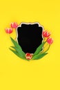 Spring Tulip Minimal Background Border Composition