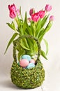 Spring tulips and basket of colored eggs Royalty Free Stock Photo