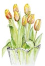 Spring tulips in a crystal vase Royalty Free Stock Photo