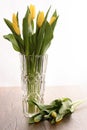 Spring tulips in a crystal vase Royalty Free Stock Photo