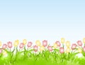 Spring Tulips Flower Border Background