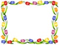 Spring Tulips Flower Frame or Border