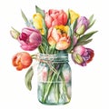 Spring Tulips Flowers Bouquet in Mason Jar Watercolor, Illustration, clipart, Isolated on White Background - Generative AI Royalty Free Stock Photo