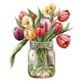 Spring Tulips Flowers Bouquet in Mason Jar Watercolor, Illustration, clipart, Isolated on White Background - Generative AI Royalty Free Stock Photo