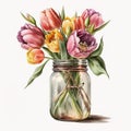 Spring Tulips Flowers Bouquet in Mason Jar Watercolor, Illustration, clipart, Isolated on White Background - Generative AI Royalty Free Stock Photo