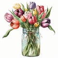 Spring Tulips Flowers Bouquet in Mason Jar Watercolor, Illustration, clipart, Isolated on White Background - Generative AI Royalty Free Stock Photo