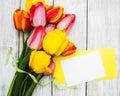 Spring tulips flowers and card Royalty Free Stock Photo