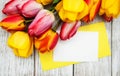 Spring tulips flowers and card Royalty Free Stock Photo