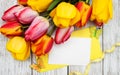 Spring tulips flowers and card Royalty Free Stock Photo