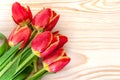 Spring Tulips Flowers with Drops of Dew on a Wooden Background