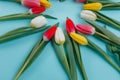 Spring tulips frame on background, top view. Royalty Free Stock Photo