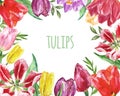 Spring tulips frame. Red, pink yellow tulip flowers on white background