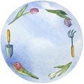 Spring tulips with garden tools on a blue round background. Watercolor illustration. Royalty Free Stock Photo