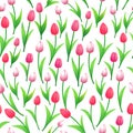 Spring tulips seamless pattern