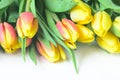 Spring tulips