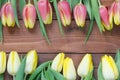 Spring tulips