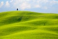 Morning on countryside, San Quirico dÃÂ´Orcia, Tuscany, Italy Royalty Free Stock Photo