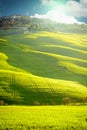 Morning on countryside, San Quirico dÃÂ´Orcia, Tuscany, Italy Royalty Free Stock Photo